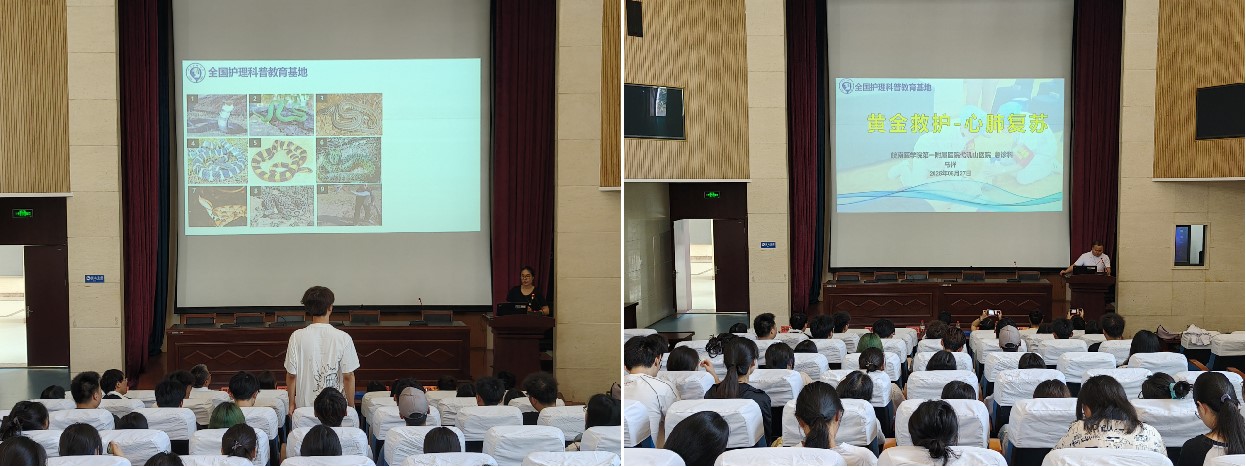 理论讲解 理论讲解